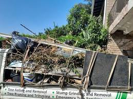 Best Recycling Services for Junk  in Lakes West, CT